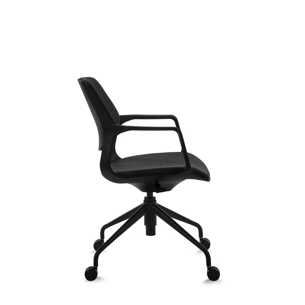 Schön Swivel Chair Series